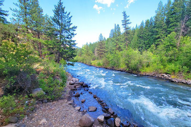 12 Top-Rated Campgrounds at Mt. Rainier National Park