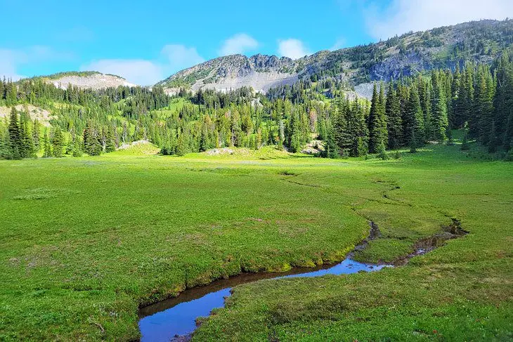 12 Top-Rated Campgrounds at Mt. Rainier National Park