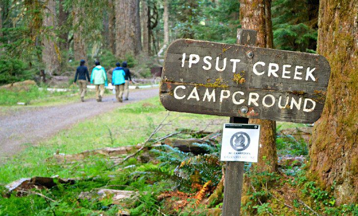 12 Top-Rated Campgrounds at Mt. Rainier National Park