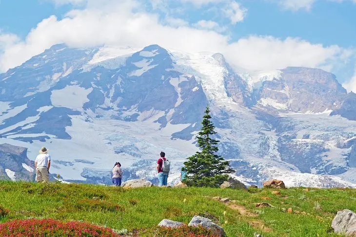 12 Top-Rated Campgrounds at Mt. Rainier National Park