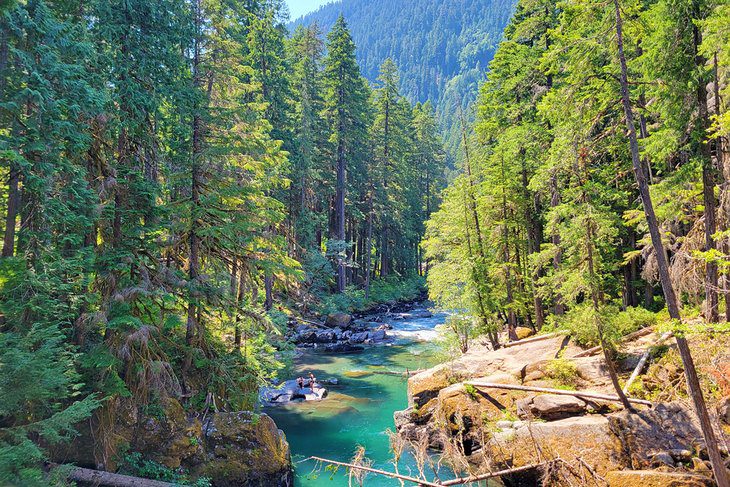 12 Top-Rated Campgrounds at Mt. Rainier National Park