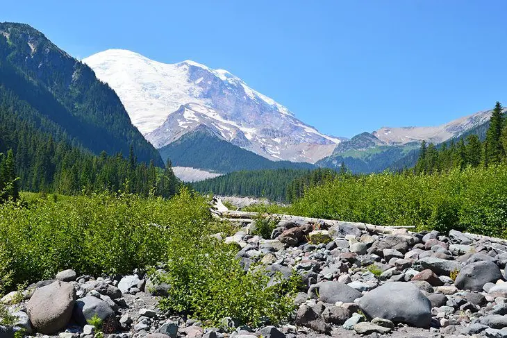 12 Top-Rated Campgrounds at Mt. Rainier National Park