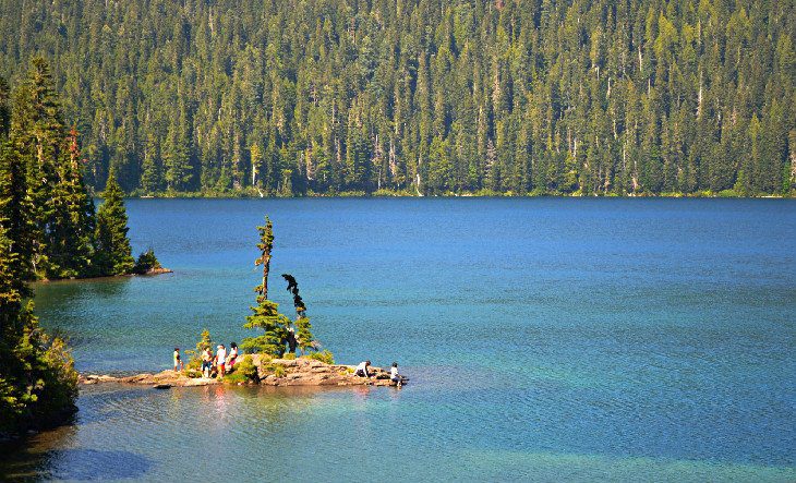 12 Top-Rated Campgrounds at Mt. Rainier National Park