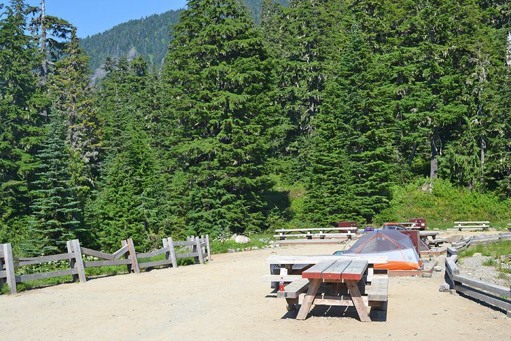 12 Top-Rated Campgrounds at Mt. Rainier National Park