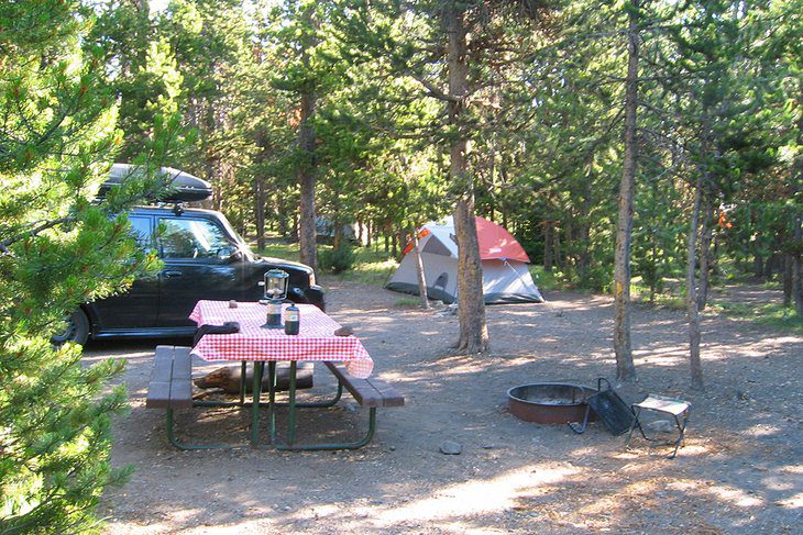 12 Top-Rated Campgrounds in Yellowstone National Park