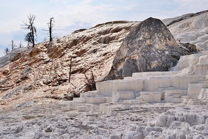 12 Top-Rated Campgrounds in Yellowstone National Park