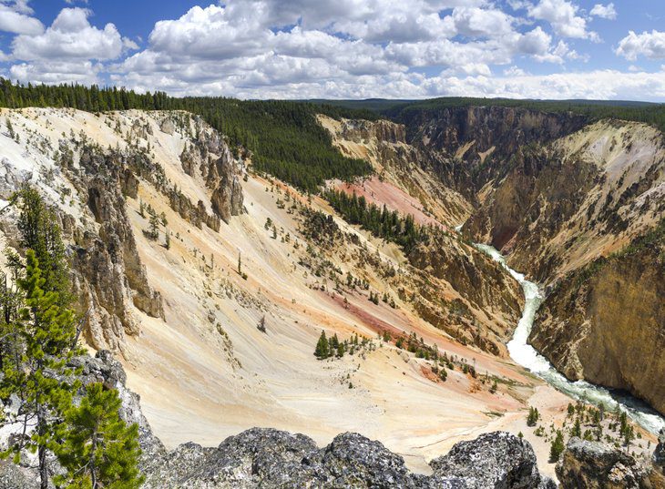 12 Top-Rated Campgrounds in Yellowstone National Park