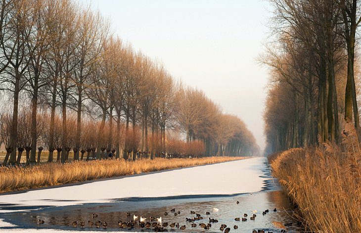 12 Top-Rated Day Trips from Bruges