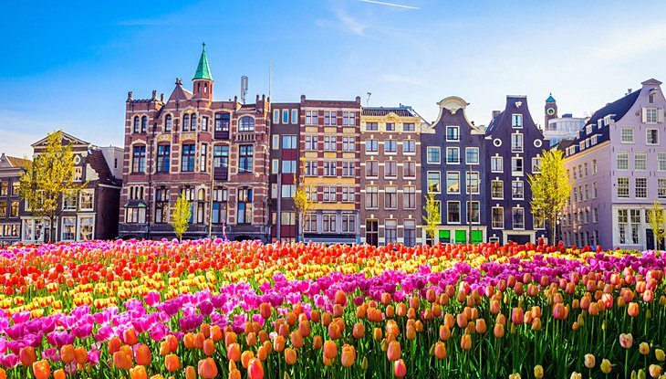 12 Top-Rated Day Trips from Brussels