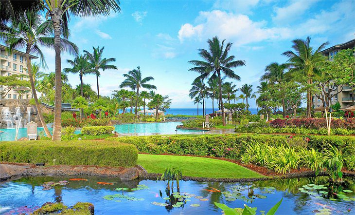 12 Top-Rated Family Resorts in Hawaii