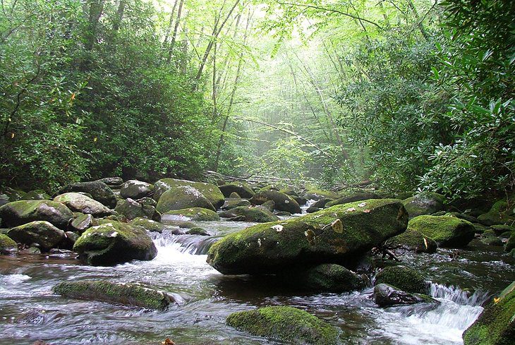 12 Top-Rated Fly Fishing Destinations in Tennessee