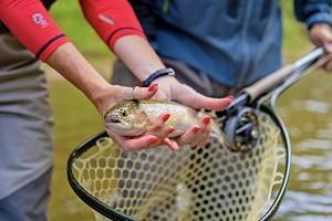 12 Top-Rated Fly Fishing Destinations in Tennessee