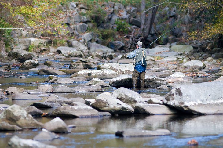 12 Top-Rated Fly Fishing Destinations in Tennessee