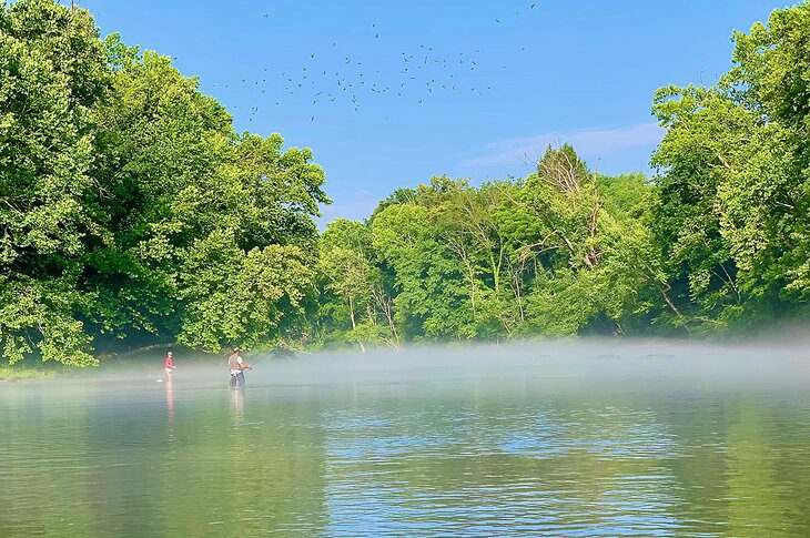 12 Top-Rated Fly Fishing Destinations in Tennessee