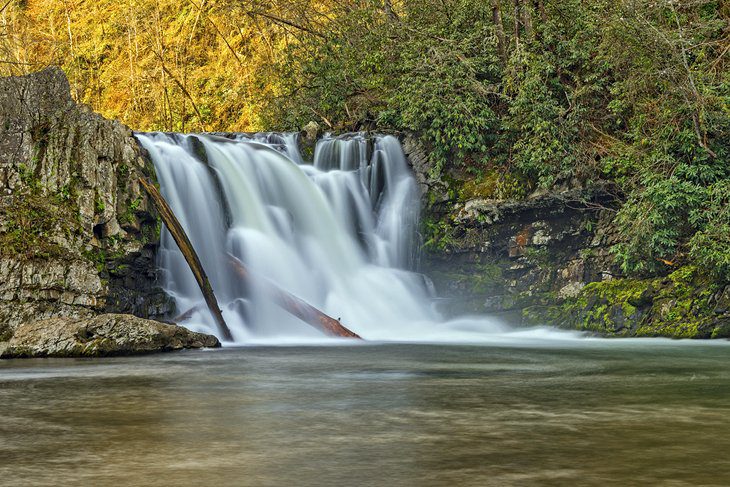 12 Top-Rated Fly Fishing Destinations in Tennessee