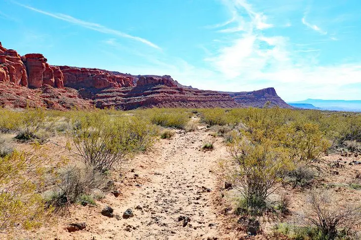 12 Top-Rated Hikes near St. George, UT