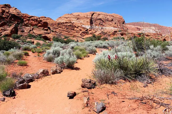 12 Top-Rated Hikes near St. George, UT