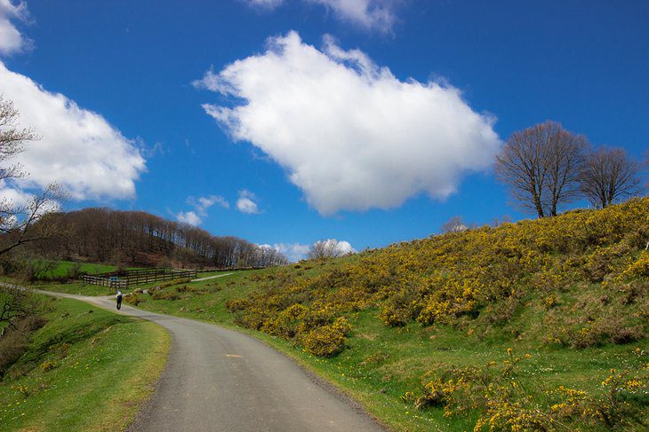 12 Top-Rated Hiking Trails in France