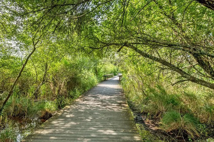 12 Top-Rated Hiking Trails in France