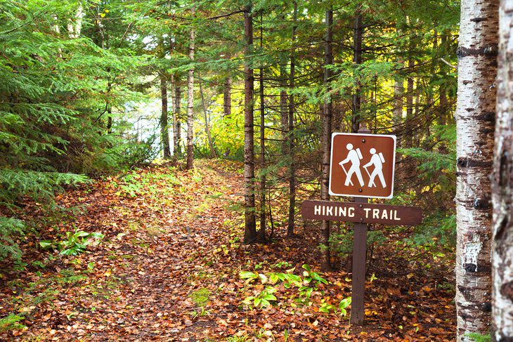 12 Top-Rated Hiking Trails in Minnesota