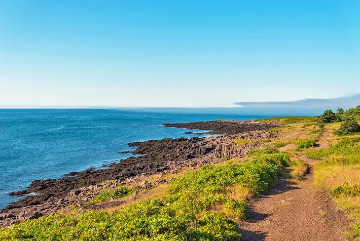 12 Top-Rated Hiking Trails in Nova Scotia