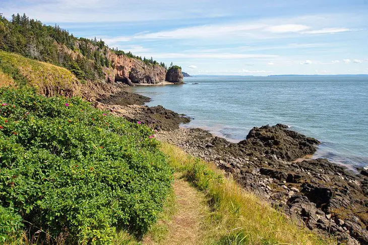 12 Top-Rated Hiking Trails in Nova Scotia