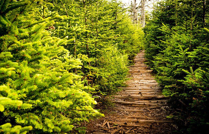 12 Top-Rated Hiking Trails in Nova Scotia