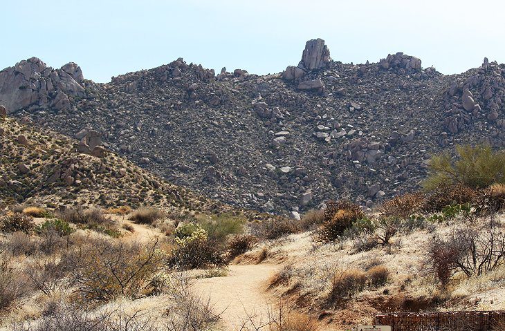 12 Top-Rated Hiking Trails in Phoenix, AZ