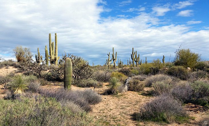 12 Top-Rated Hiking Trails in Phoenix, AZ