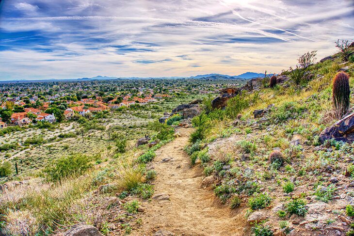 12 Top-Rated Hiking Trails in Phoenix, AZ