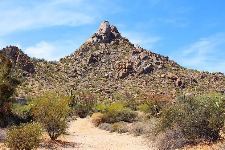 12 Top-Rated Hiking Trails in Phoenix, AZ