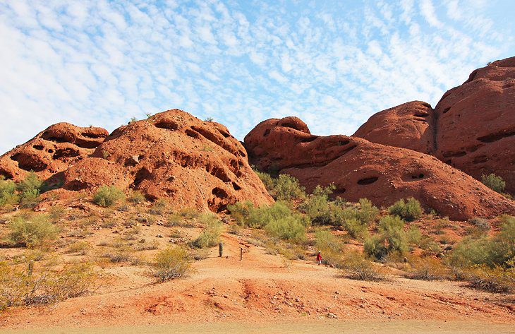 12 Top-Rated Hiking Trails in Phoenix, AZ