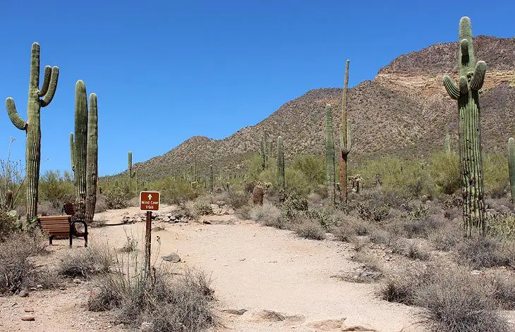 12 Top-Rated Hiking Trails in Phoenix, AZ