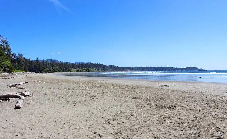 12 Top-Rated Hiking Trails in Tofino, BC