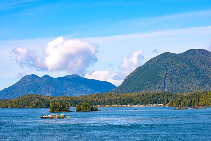 12 Top-Rated Hiking Trails in Tofino, BC