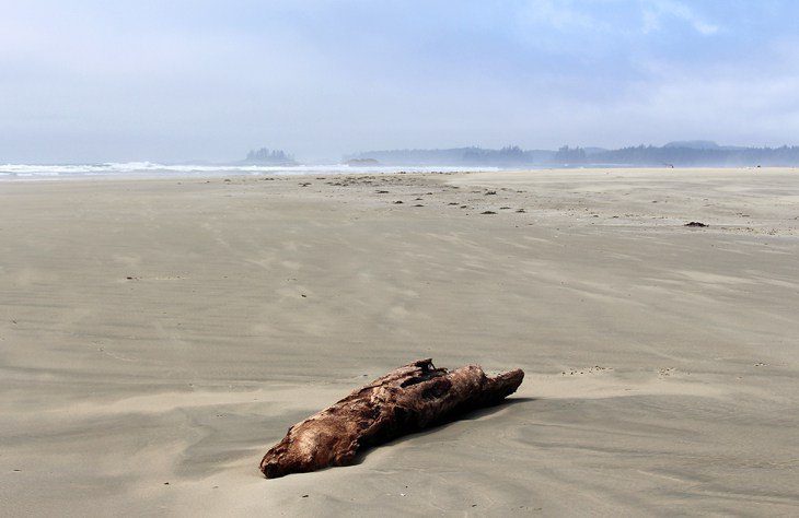 12 Top-Rated Hiking Trails in Tofino, BC