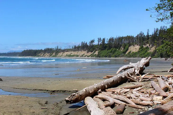 12 Top-Rated Hiking Trails in Tofino, BC