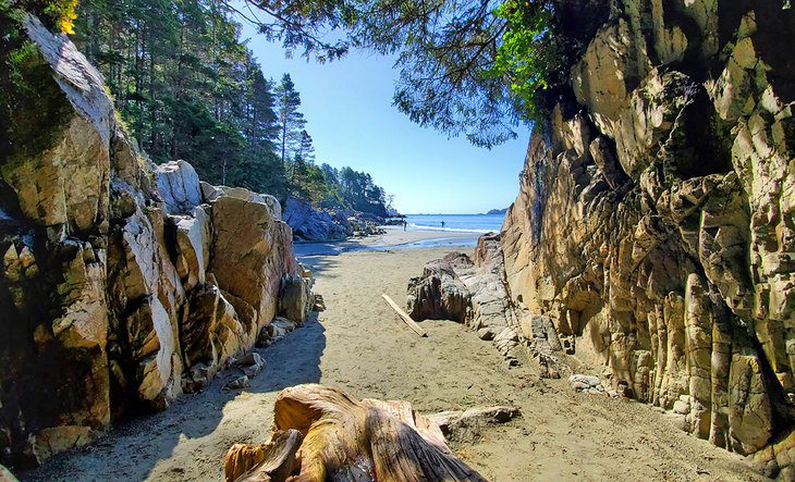 12 Top-Rated Hiking Trails in Tofino, BC