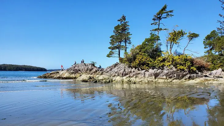 12 Top-Rated Hiking Trails in Tofino, BC