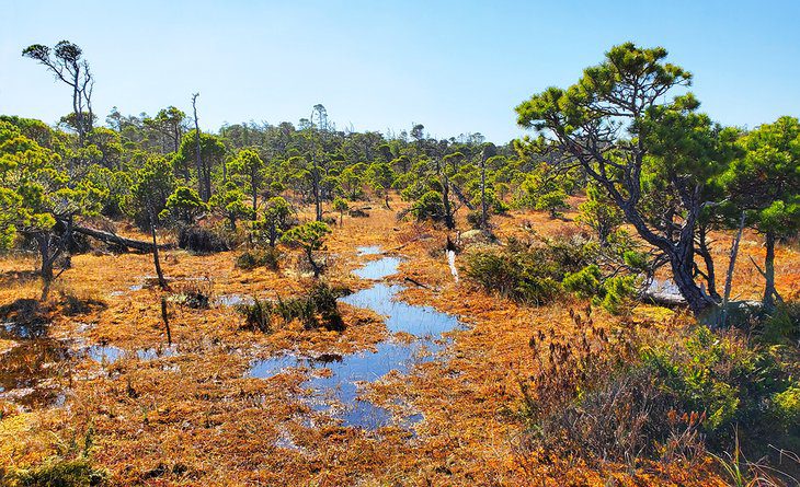 12 Top-Rated Hiking Trails in Tofino, BC