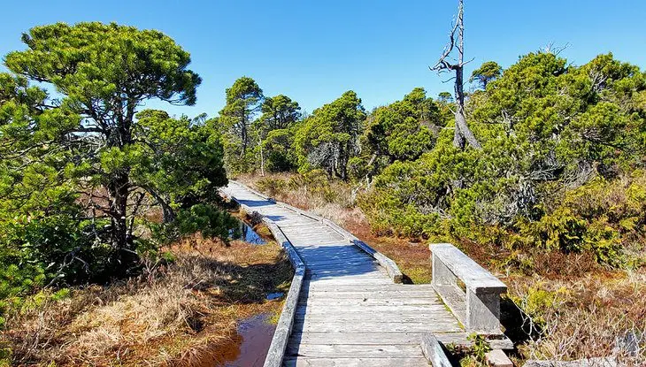 12 Top-Rated Hiking Trails in Tofino, BC