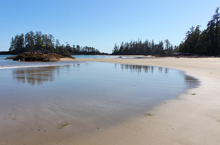 12 Top-Rated Hiking Trails in Tofino, BC