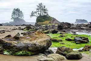 12 Top-Rated Hiking Trails in Tofino, BC