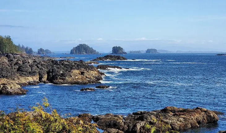 12 Top-Rated Hiking Trails in Tofino, BC