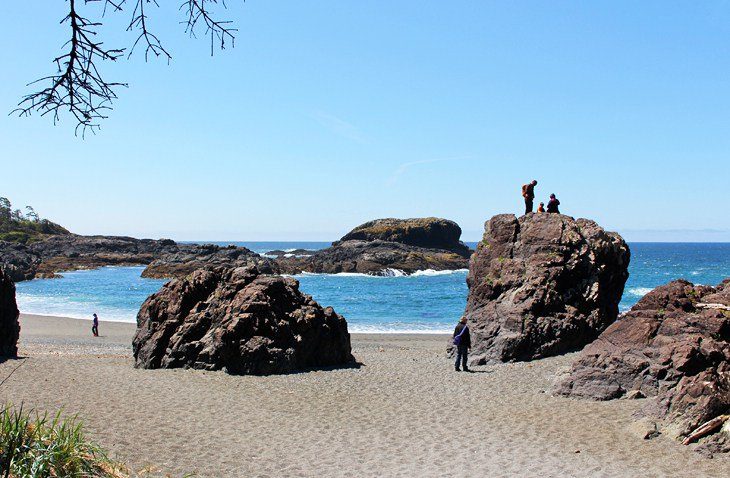 12 Top-Rated Hiking Trails in Tofino, BC