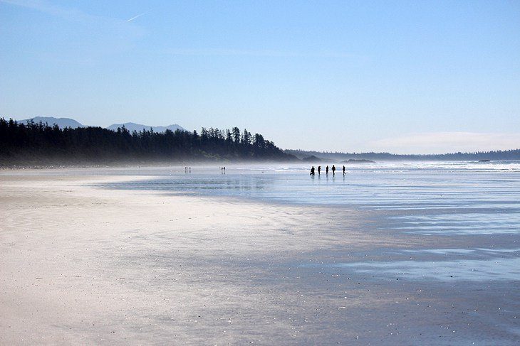 12 Top-Rated Hiking Trails in Tofino, BC