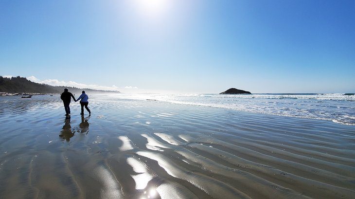 12 Top-Rated Hiking Trails in Tofino, BC