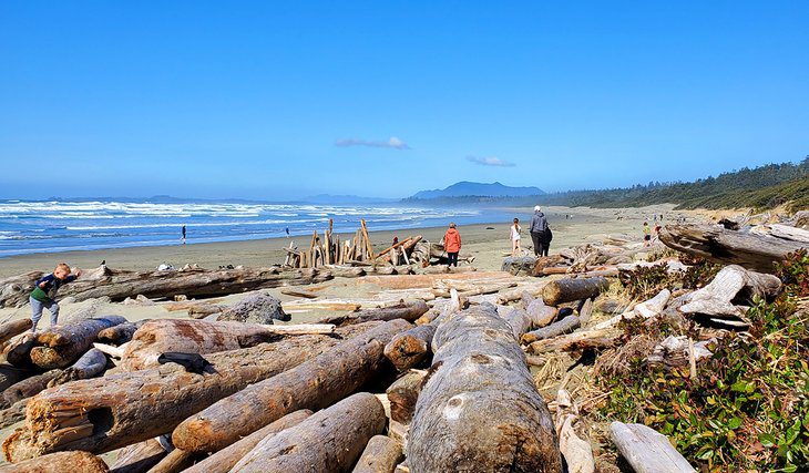 12 Top-Rated Hiking Trails in Tofino, BC