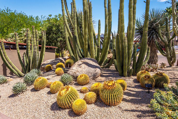 12 Top-Rated Small Towns in Arizona