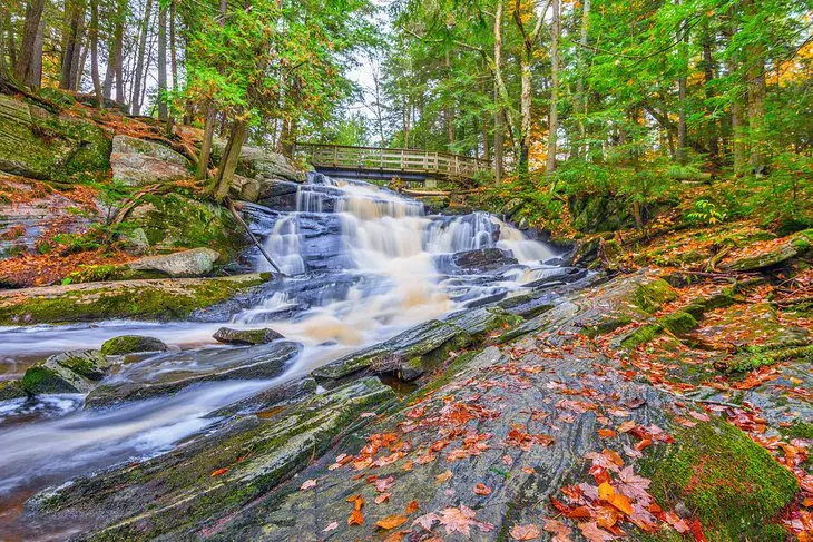 12 Top-Rated Things to Do in Bracebridge, Ontario